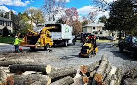 Best Lot and Land Clearing  in Suisun City, CA