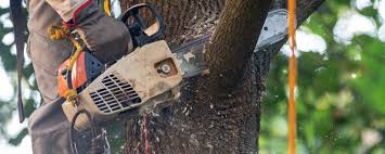 Best Aeration Services  in Suisun City, CA