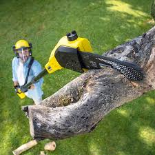 Best Lawn Watering Services  in Suisun City, CA