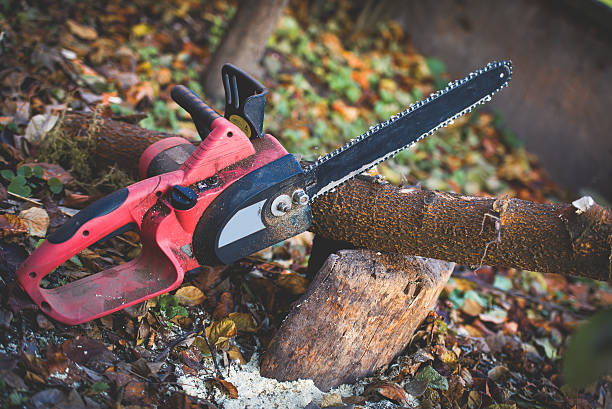 Best Utility Line Clearance  in Suisun City, CA